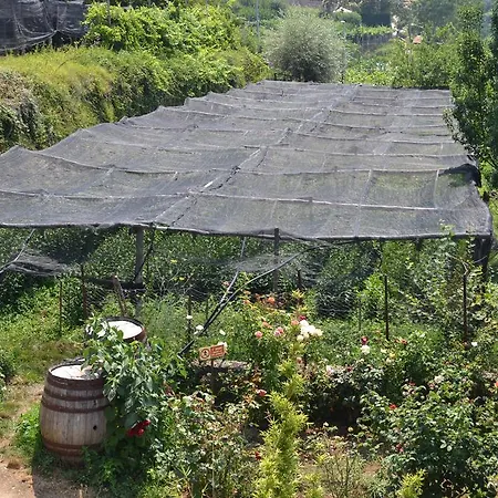 Nonno Tobia Κατάλυμα σε φάρμα