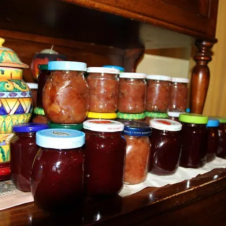 Nonno Tobia Gospodarstwo agroturystyczne Agerola