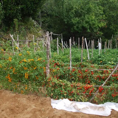 Nonno Tobia Farm stay *