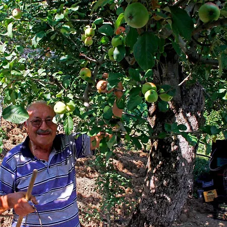Nonno Tobia Agerola