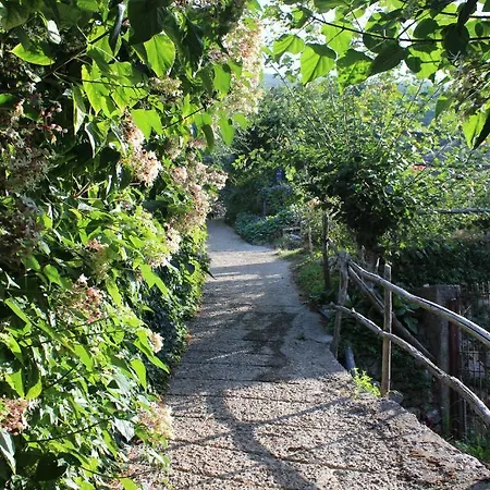 Nonno Tobia Farm stay